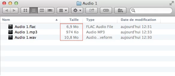 Les formats lossless